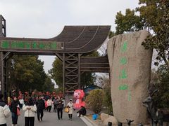 -溱湖国家湿地公园