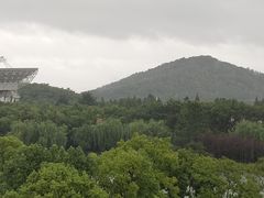 -上海佘山世茂艾美酒店