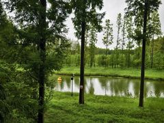 -黄海国家森林公园