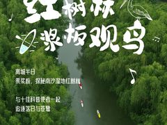 -大湾区中央湿地公园