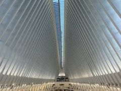 -纽瓦克自由国际机场