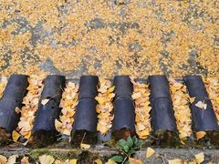 -金堂县云顶石城风景区