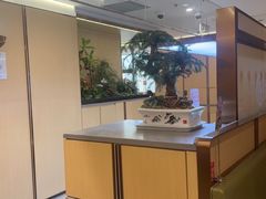 -海底捞火锅(赛格国际购物中心店)