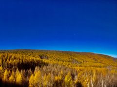 -塞罕坝国家级自然保护区