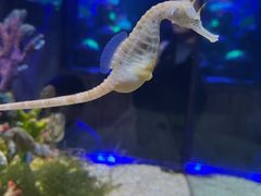 -合肥海洋世界