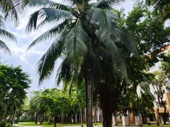 -三亚海棠湾万丽度假酒店