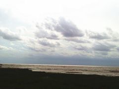 景点-南汇嘴观海公园