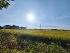 -莲花岛景区