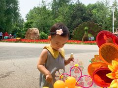 -长白岛森林公园