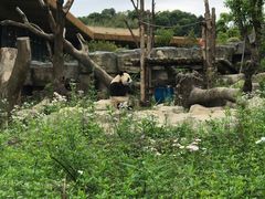 -宁波野生动物园