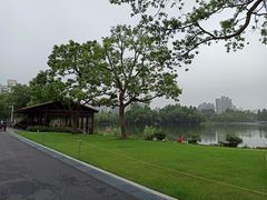 -大宁郁金香公园-停车场