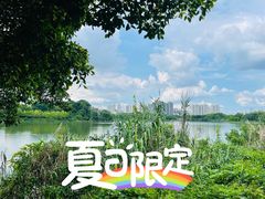 -广东花都湖国家湿地公园