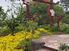 -无锡梅园公园