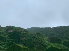 -枸杞岛