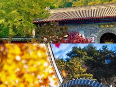 -沉浸北京·团建旅行·密室剧本杀·年会会议轰趴拓展