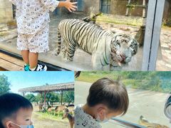 -西安秦岭野生动物园