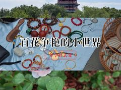 -滨河世纪广场公园