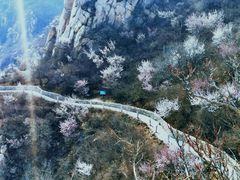 -北京凤凰岭