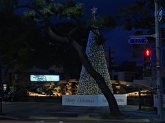 -拉完海鲜大排档(温岭店)