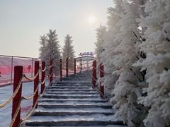 -盈香心动乐园