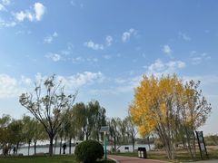 -水西公园