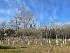 -长春世界雕塑园冰雪艺术天地