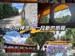 -罗布林卡