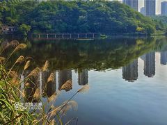 -重庆彩云湖湿地公园
