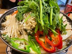 八爪鱼牛肉锅-东吉馆韩式餐厅(八经街总店)