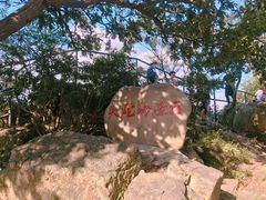 -紫金山山顶公园