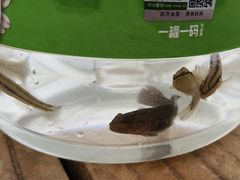 -东疆建设开发纪念公园