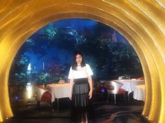 -迪拜帆船酒店海底餐厅