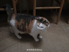 -黑胶星球(华发中城商都店)