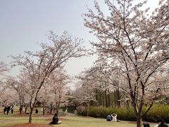 -自然谷恐龙园
