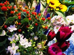 -爱尚幸福鲜花(上地实体店)