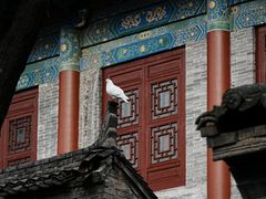 -西安大兴善寺