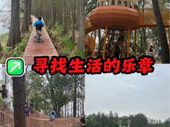 -东湖落雁景区