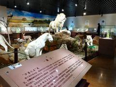 -陕西自然博物馆