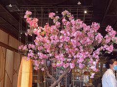 -九井澤精致料理(金茂店)