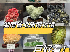 -湖南省地质博物馆