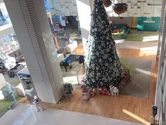-上海古井假日酒店 · 徽昇楼中餐厅