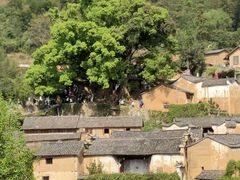 -杨家堂村