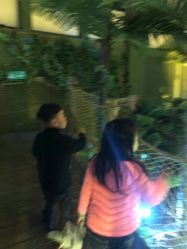 -恐龙探索乐园(磁器口店)