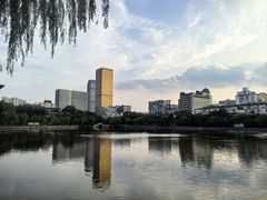 -文瀛公园
