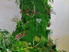 -南山植物园