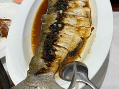 豆豉蒸鲟龙鱼-万龙洲海鲜(大兴绿地缤纷城店)