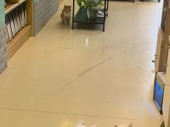 -雨林宠物医院 非犬猫异宠专科