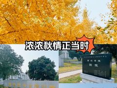 -汉景帝阳陵博物院