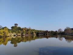 -张坝桂圆林公园