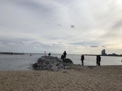 -小巴塞罗那海滩